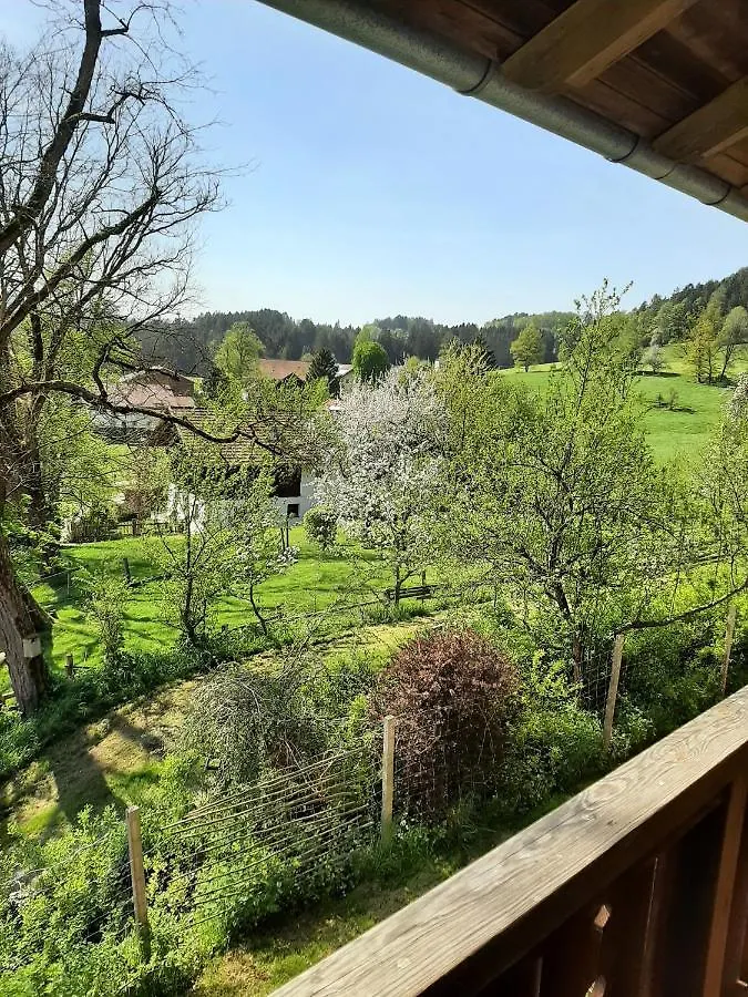 Ferienhaus Piller Viechtach 0*,  Germany